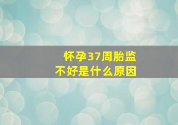 怀孕37周胎监不好是什么原因