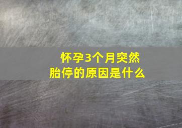 怀孕3个月突然胎停的原因是什么