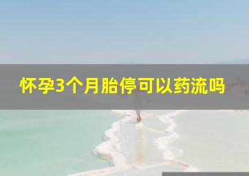 怀孕3个月胎停可以药流吗