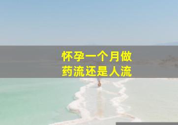 怀孕一个月做药流还是人流