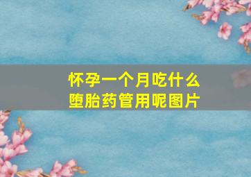 怀孕一个月吃什么堕胎药管用呢图片