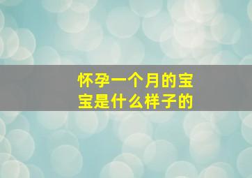 怀孕一个月的宝宝是什么样子的