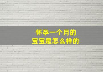 怀孕一个月的宝宝是怎么样的