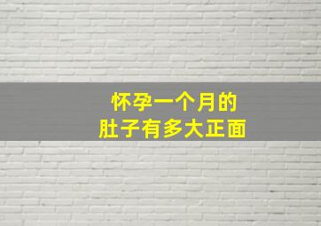 怀孕一个月的肚子有多大正面