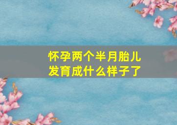 怀孕两个半月胎儿发育成什么样子了