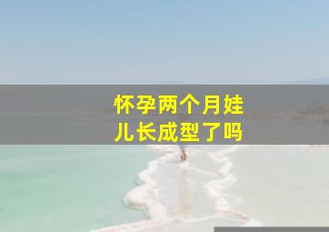 怀孕两个月娃儿长成型了吗