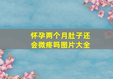 怀孕两个月肚子还会微疼吗图片大全