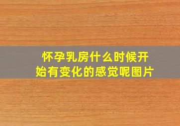 怀孕乳房什么时候开始有变化的感觉呢图片