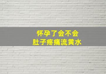 怀孕了会不会肚子疼痛流黄水