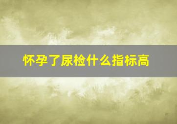 怀孕了尿检什么指标高