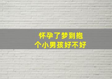 怀孕了梦到抱个小男孩好不好