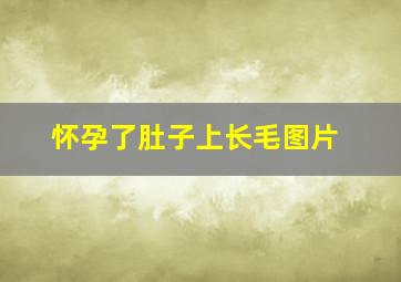 怀孕了肚子上长毛图片