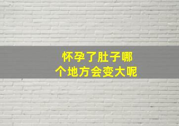 怀孕了肚子哪个地方会变大呢