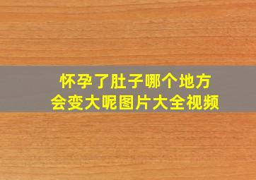 怀孕了肚子哪个地方会变大呢图片大全视频