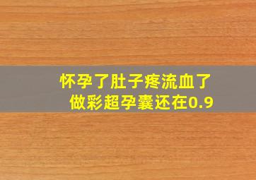 怀孕了肚子疼流血了做彩超孕囊还在0.9