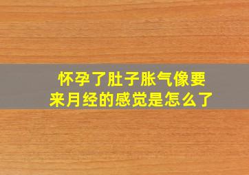 怀孕了肚子胀气像要来月经的感觉是怎么了