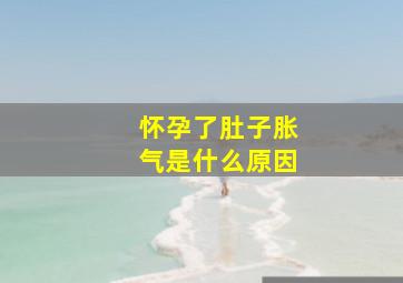 怀孕了肚子胀气是什么原因