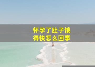 怀孕了肚子饿得快怎么回事