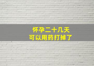 怀孕二十几天可以用药打掉了