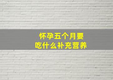 怀孕五个月要吃什么补充营养