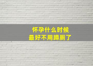 怀孕什么时候最好不用蹲厕了