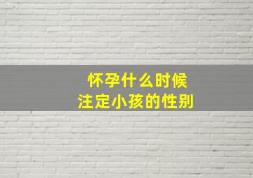 怀孕什么时候注定小孩的性别