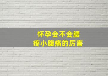 怀孕会不会腰疼小腹痛的厉害