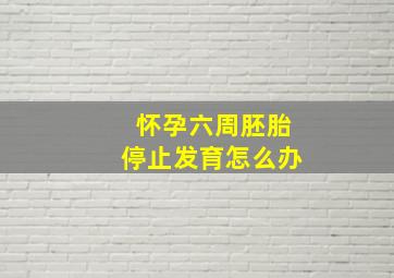 怀孕六周胚胎停止发育怎么办