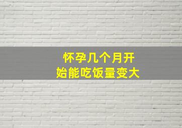 怀孕几个月开始能吃饭量变大