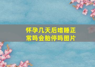 怀孕几天后嗜睡正常吗会胎停吗图片