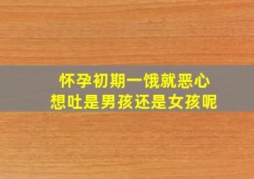 怀孕初期一饿就恶心想吐是男孩还是女孩呢