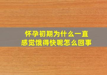 怀孕初期为什么一直感觉饿得快呢怎么回事