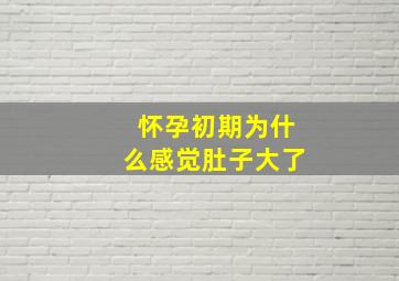 怀孕初期为什么感觉肚子大了