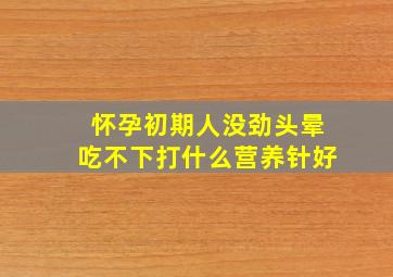 怀孕初期人没劲头晕吃不下打什么营养针好