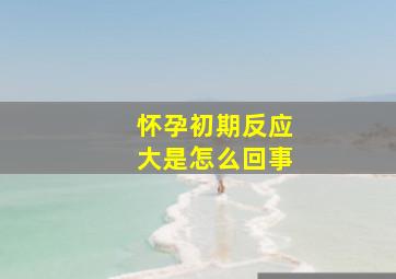 怀孕初期反应大是怎么回事