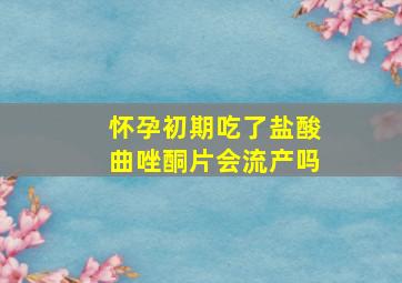 怀孕初期吃了盐酸曲唑酮片会流产吗