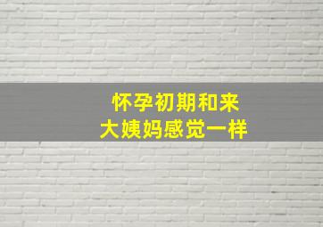 怀孕初期和来大姨妈感觉一样