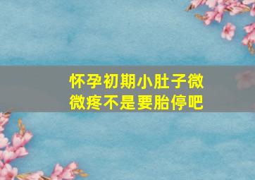 怀孕初期小肚子微微疼不是要胎停吧