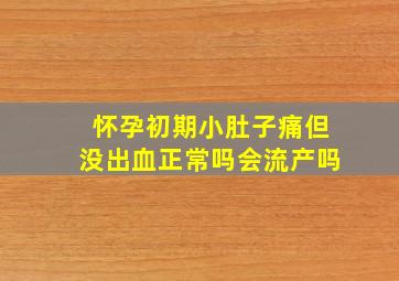 怀孕初期小肚子痛但没出血正常吗会流产吗