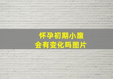 怀孕初期小腹会有变化吗图片