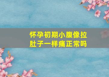 怀孕初期小腹像拉肚子一样痛正常吗