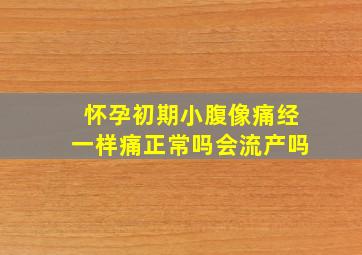 怀孕初期小腹像痛经一样痛正常吗会流产吗