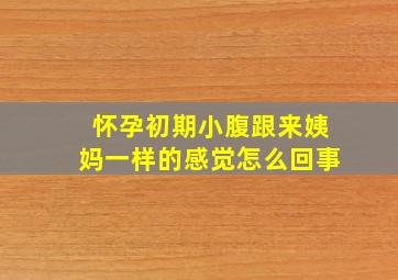 怀孕初期小腹跟来姨妈一样的感觉怎么回事