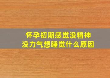 怀孕初期感觉没精神没力气想睡觉什么原因