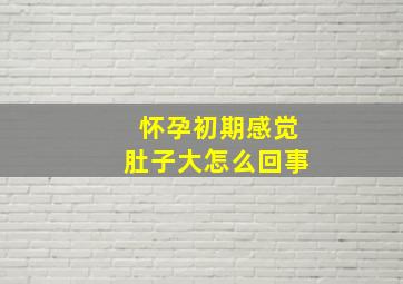 怀孕初期感觉肚子大怎么回事