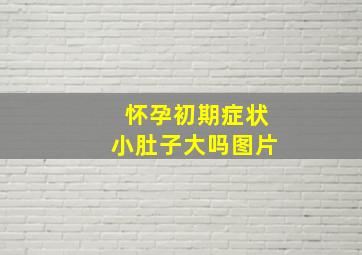 怀孕初期症状小肚子大吗图片