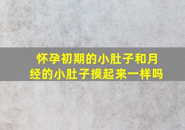 怀孕初期的小肚子和月经的小肚子摸起来一样吗