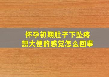 怀孕初期肚子下坠疼想大便的感觉怎么回事