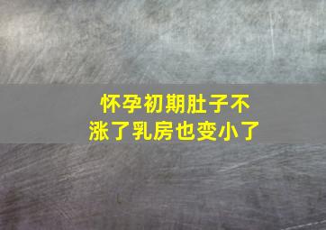 怀孕初期肚子不涨了乳房也变小了