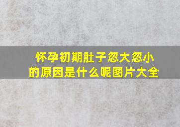 怀孕初期肚子忽大忽小的原因是什么呢图片大全